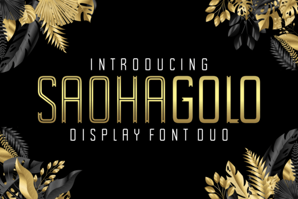 Saohagolo: The Elegant Display Typeface for Premium Web Design