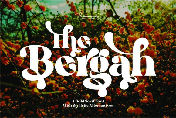 The Bergah: A Chic Display Font for Modern Web Design